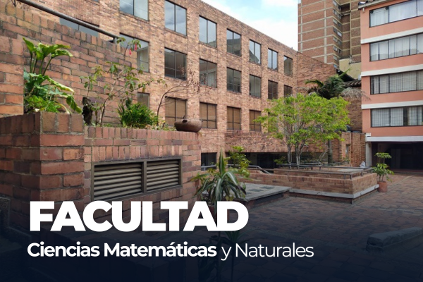 Imagen decorativa Facultad de Ciencias Matemáticas y Naturales