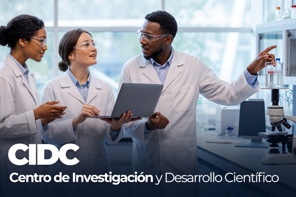 Imagen decorativa CIDC