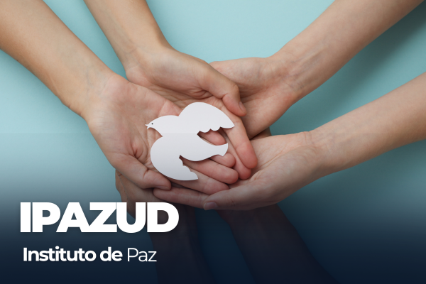Imagen decorativa IPAZUD