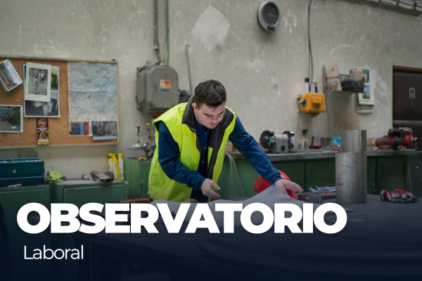 Imagen decorativa Observatorio Laboral