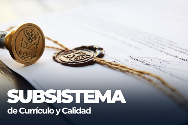 Imagen decorativa Subsistema de Currículo y Calidad